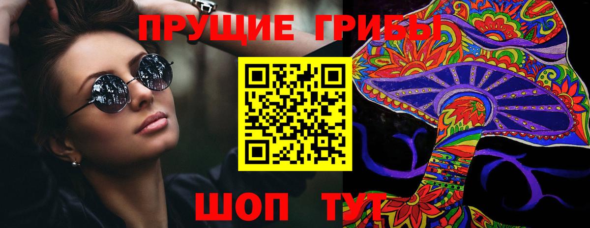 Псилоцибиновые грибы мухоморы  Вход с VPN  где купить наркоту  Дзержинск 