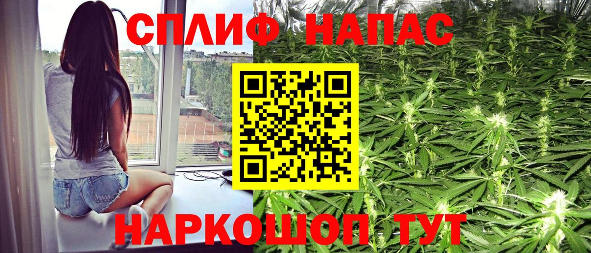 Бошки Шишки гибрид  Вход с VPN  МАРИХУАНА сатива  Канабис план  Дзержинск  Бошки Шишки марихуана 